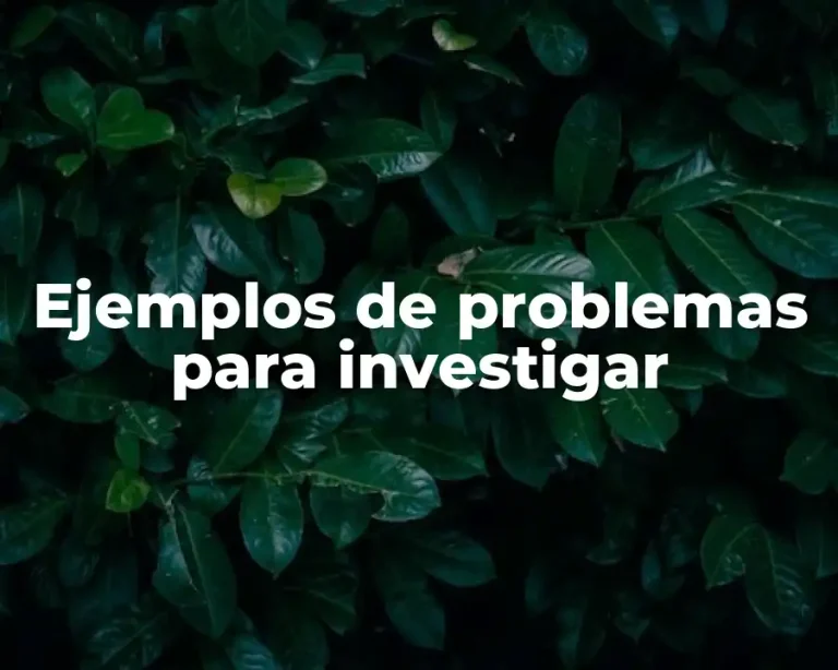 Ejemplos de problemas para investigar