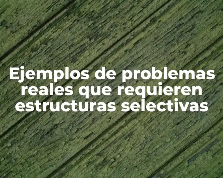Ejemplos de problemas reales que requieren estructuras selectivas