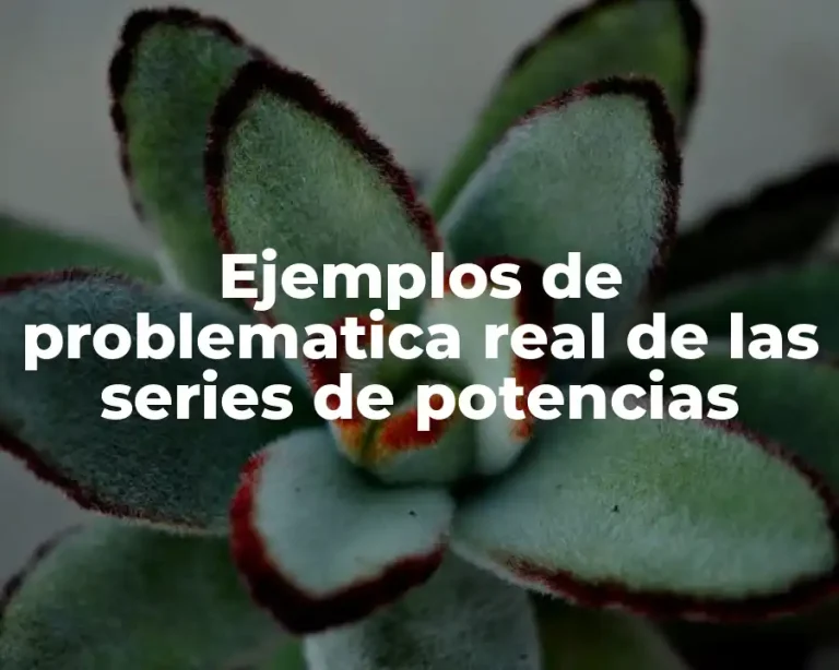 Ejemplos de problematica real de las series de potencias