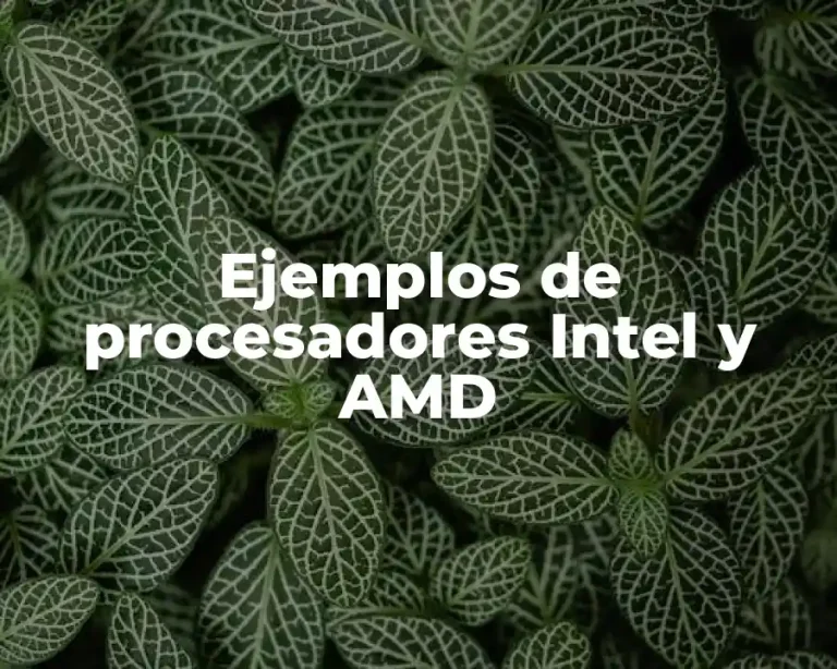 Ejemplos de procesadores Intel y AMD
