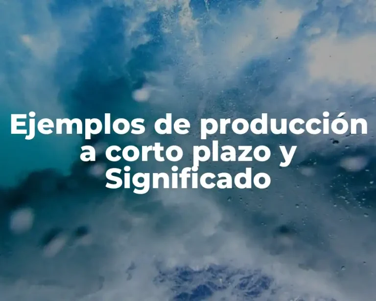 Ejemplos de producción a corto plazo y Significado