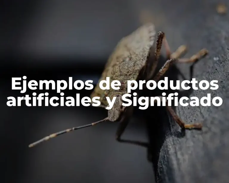 Ejemplos de productos artificiales y Significado