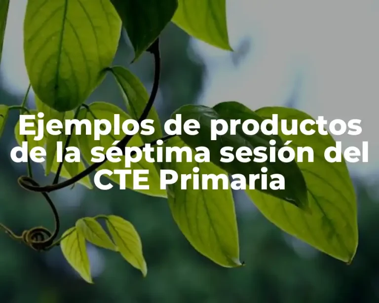 Ejemplos de productos de la séptima sesión del CTE Primaria