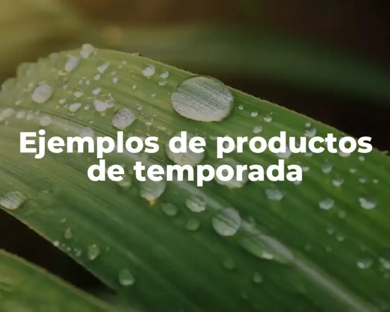 Ejemplos de productos de temporada