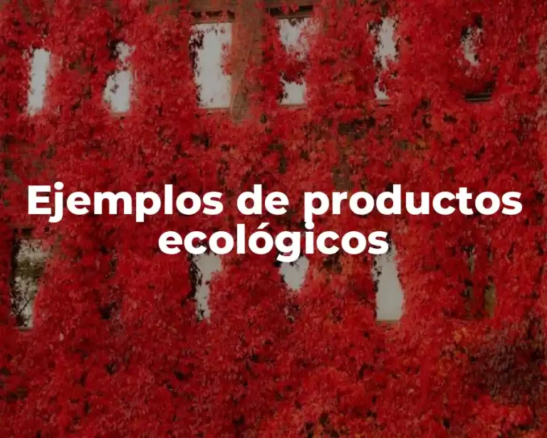 Ejemplos de productos ecológicos