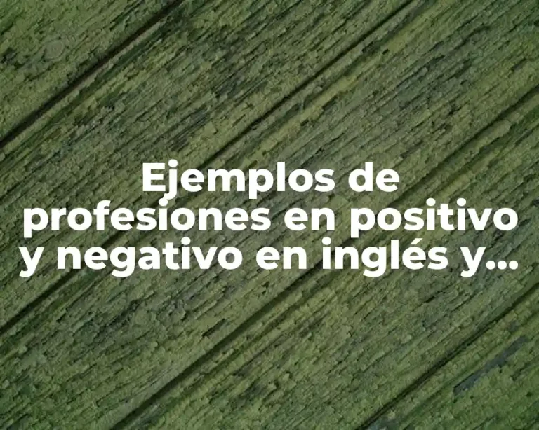 Ejemplos de profesiones en positivo y negativo en inglés y Significado