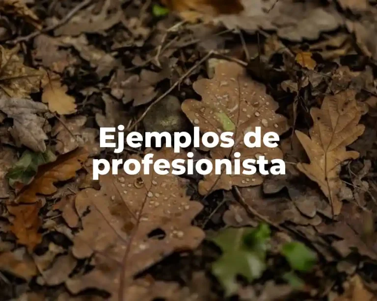 Ejemplos de profesionista