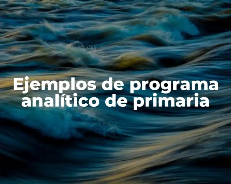 Ejemplos de programa analítico de primaria