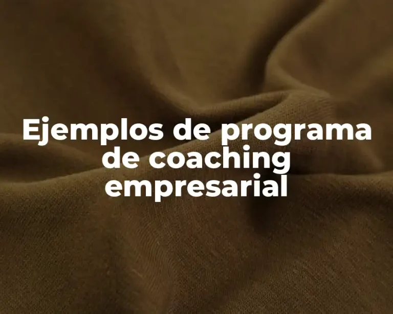 Ejemplos de programa de coaching empresarial