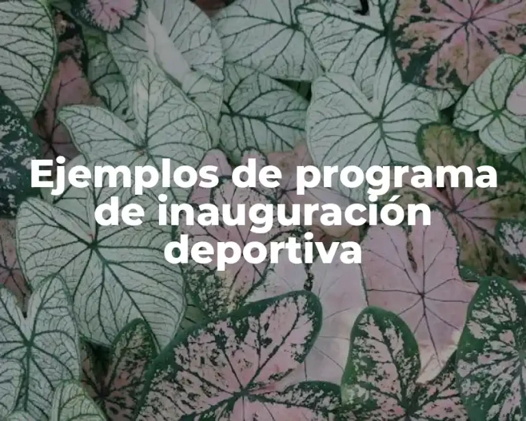 Ejemplos de programa de inauguración deportiva