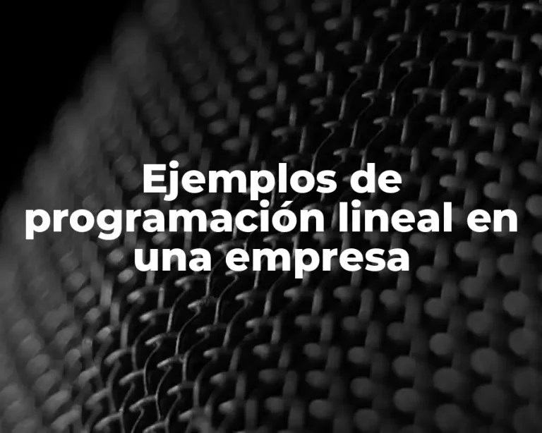 Ejemplos de programación lineal en una empresa