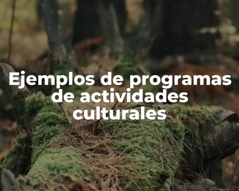 Ejemplos de programas de actividades culturales