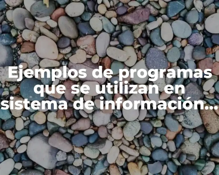 Ejemplos de programas que se utilizan en sistema de información y Significado