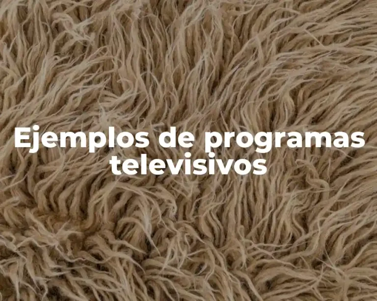 Ejemplos de programas televisivos