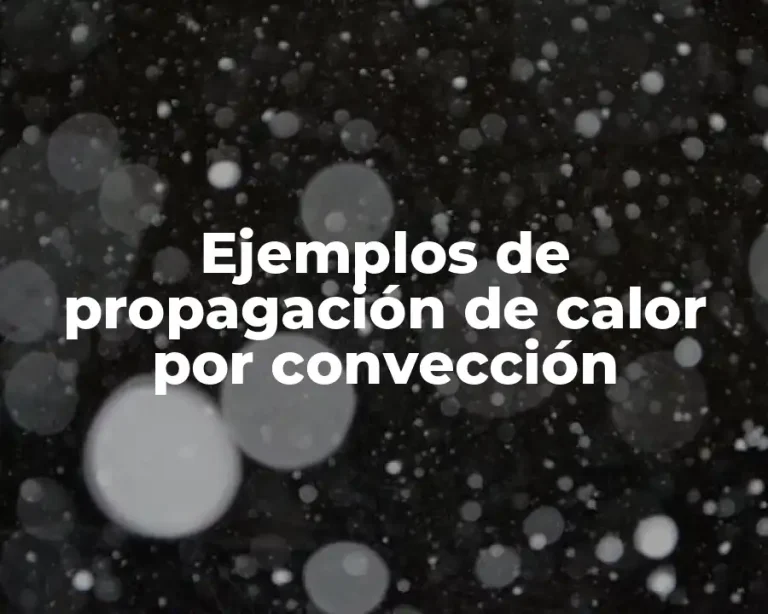 Ejemplos de propagación de calor por convección