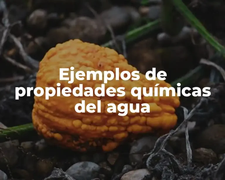 Ejemplos de propiedades químicas del agua