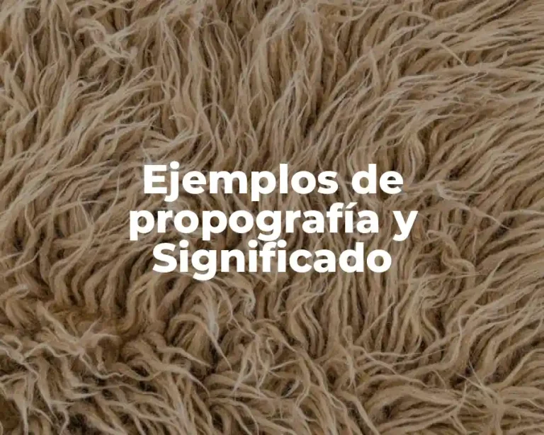 Ejemplos de propografía y Significado