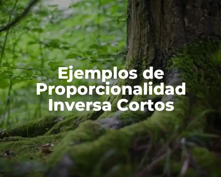 Ejemplos de Proporcionalidad Inversa Cortos
