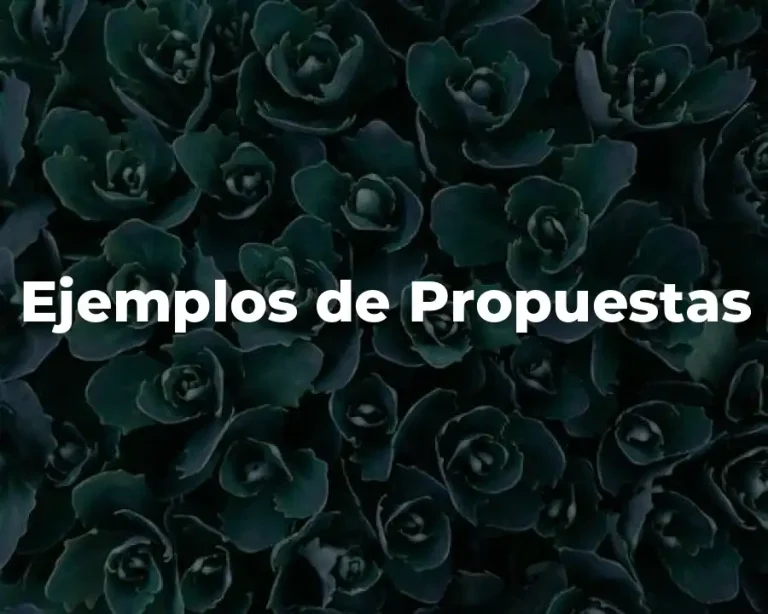 Ejemplos de Propuestas
