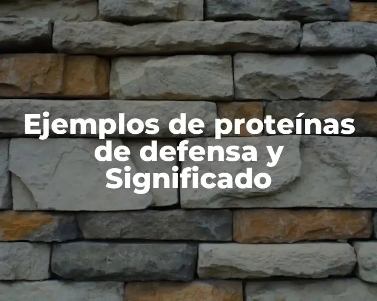 Ejemplos de proteínas de defensa y Significado