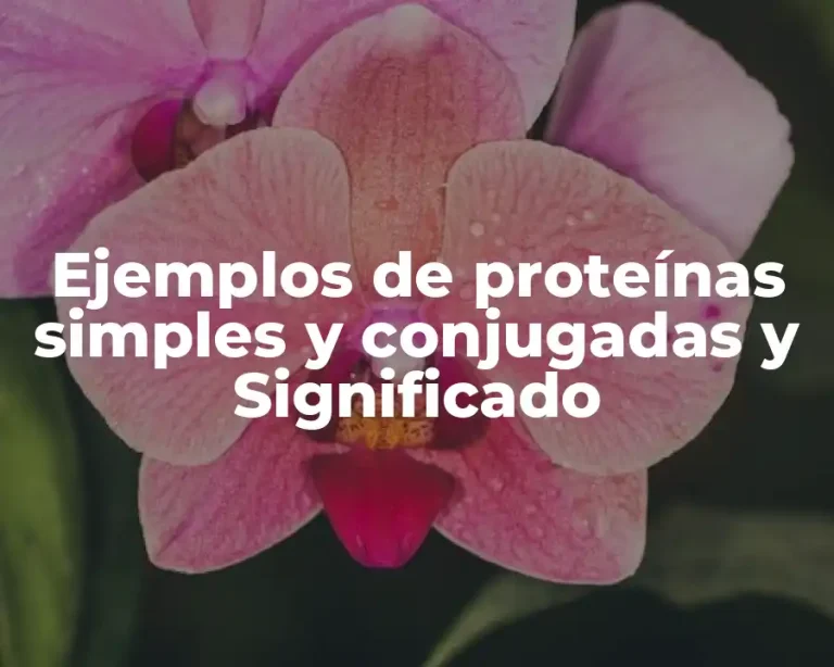 Ejemplos de proteínas simples y conjugadas y Significado