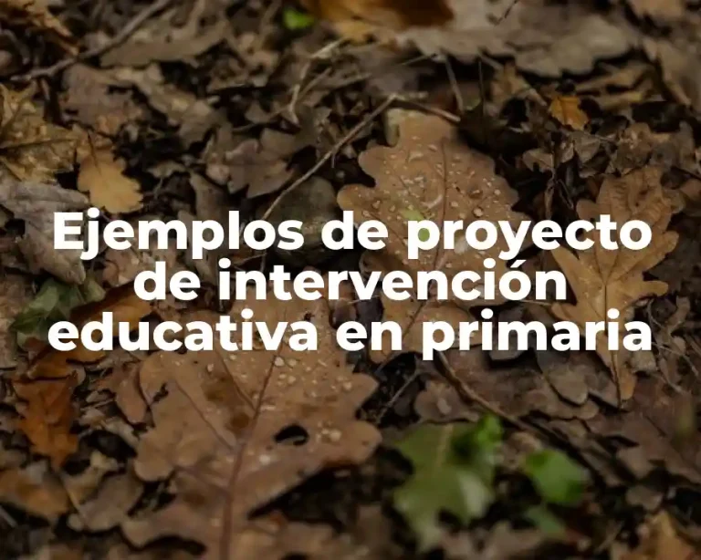 Ejemplos de proyecto de intervención educativa en primaria
