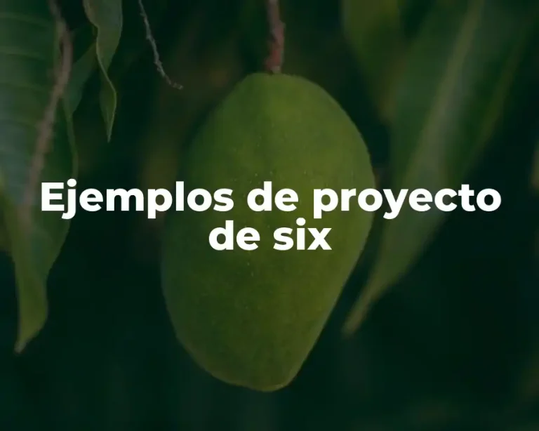 Ejemplos de proyecto de six