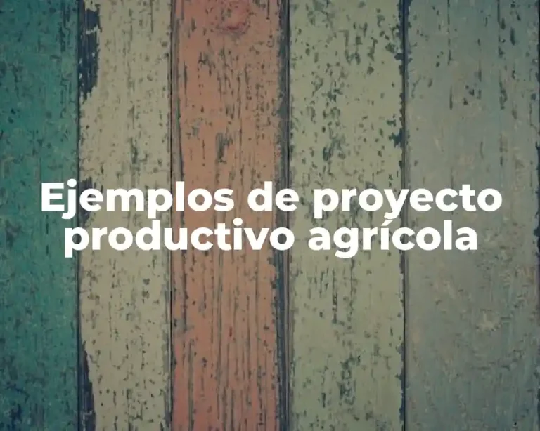 Ejemplos de proyecto productivo agrícola