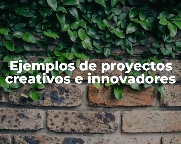 Ejemplos de proyectos creativos e innovadores