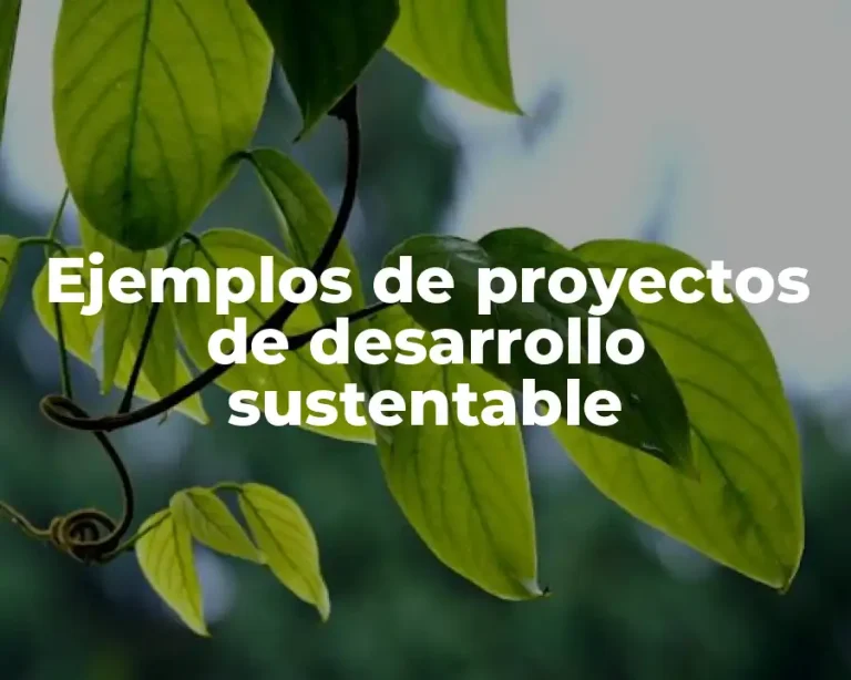 Ejemplos de proyectos de desarrollo sustentable
