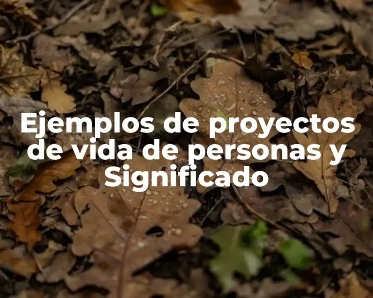 Ejemplos de proyectos de vida de personas y Significado