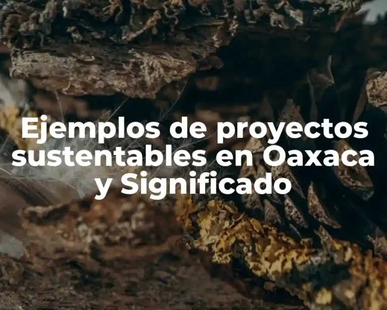 Ejemplos de proyectos sustentables en Oaxaca y Significado