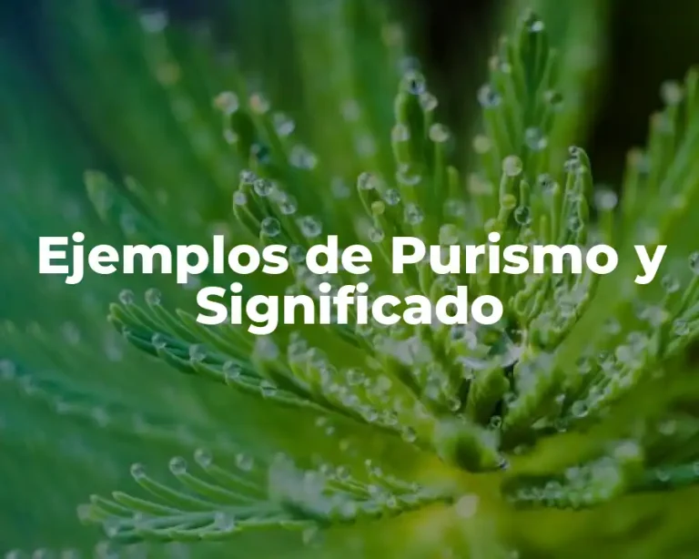 Ejemplos de Purismo y Significado