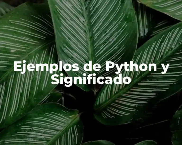 Ejemplos de Python y Significado
