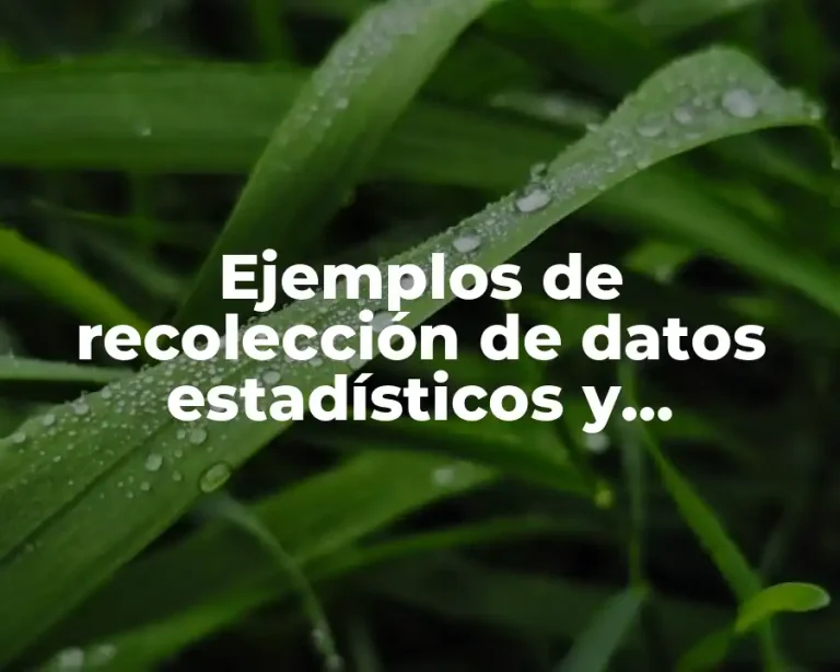 Ejemplos de recolección de datos estadísticos y Significado