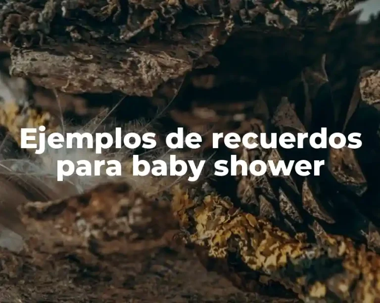 Ejemplos de recuerdos para baby shower