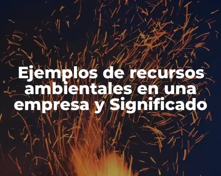 Ejemplos de recursos ambientales en una empresa y Significado