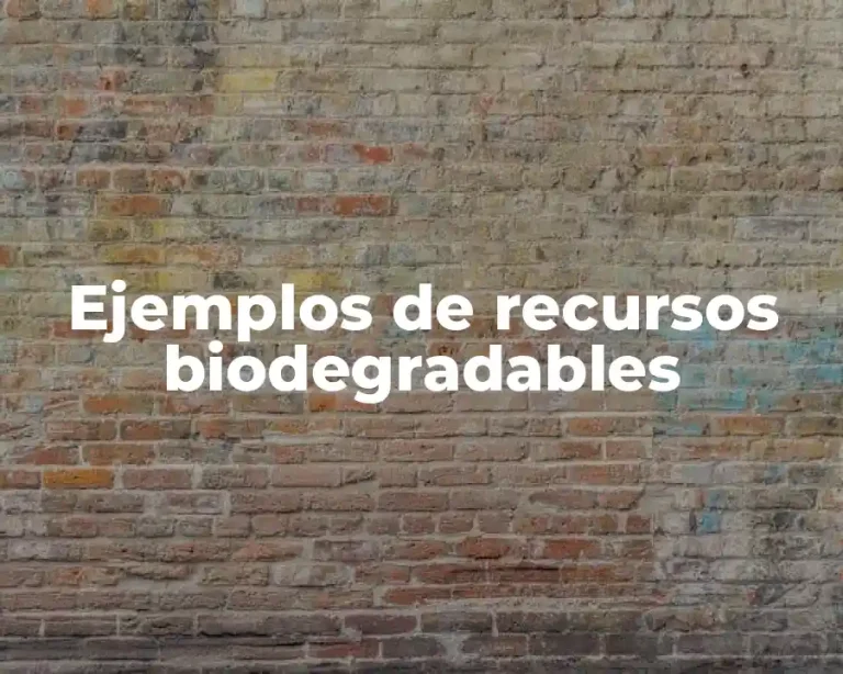 Ejemplos de recursos biodegradables