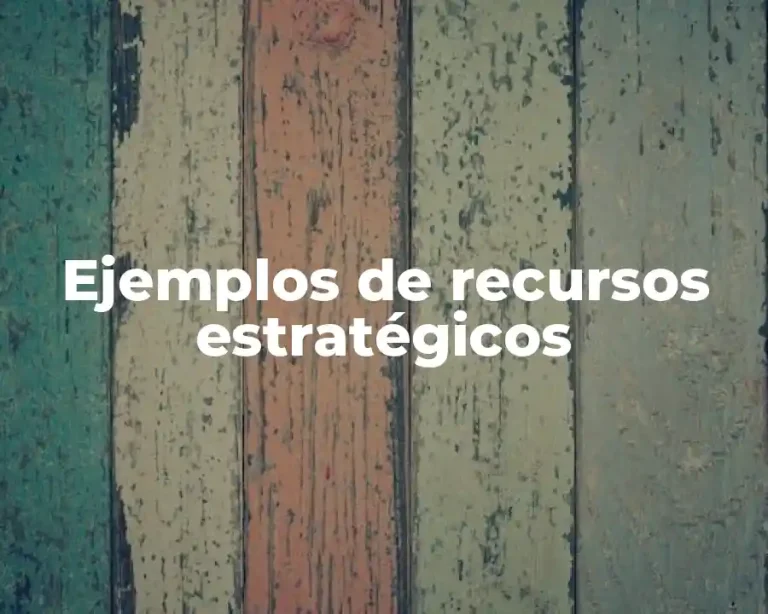 Ejemplos de recursos estratégicos