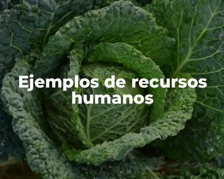 Ejemplos de recursos humanos