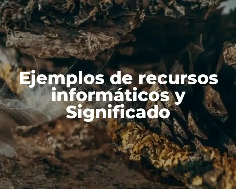 Ejemplos de recursos informáticos y Significado