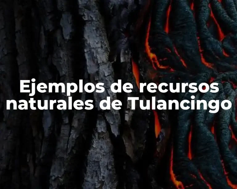 Ejemplos de recursos naturales de Tulancingo