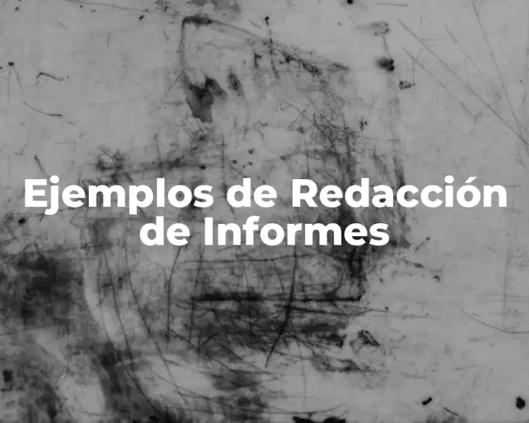 Ejemplos de Redacción de Informes