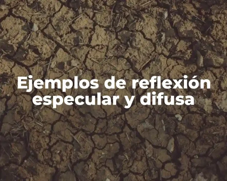 Ejemplos de reflexión especular y difusa