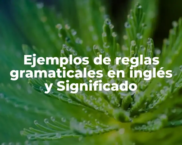 Ejemplos de reglas gramaticales en inglés y Significado