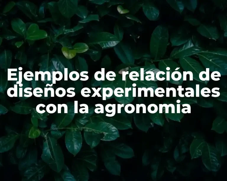 Ejemplos de relación de diseños experimentales con la agronomia