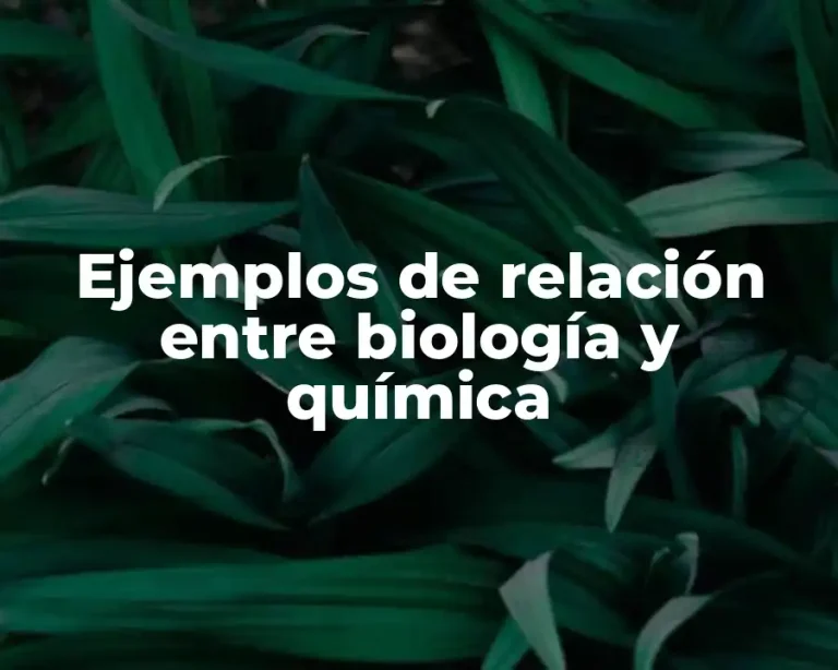 Ejemplos de relación entre biología y química