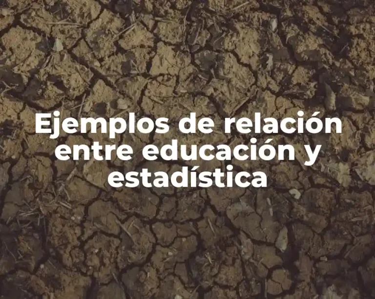 Ejemplos de relación entre educación y estadística