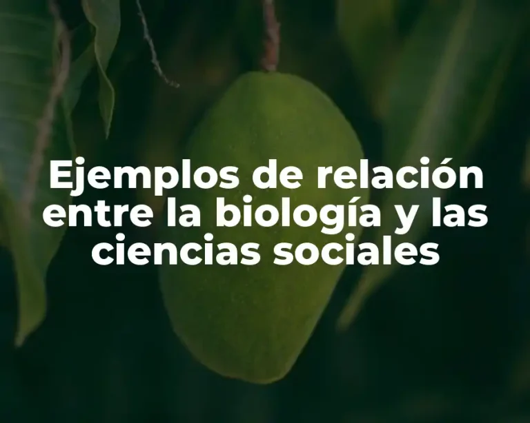 Ejemplos de relación entre la biología y las ciencias sociales
