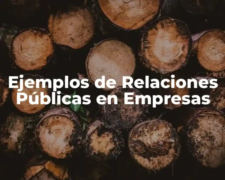 Ejemplos de Relaciones Públicas en Empresas